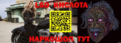 spice Владикавказ