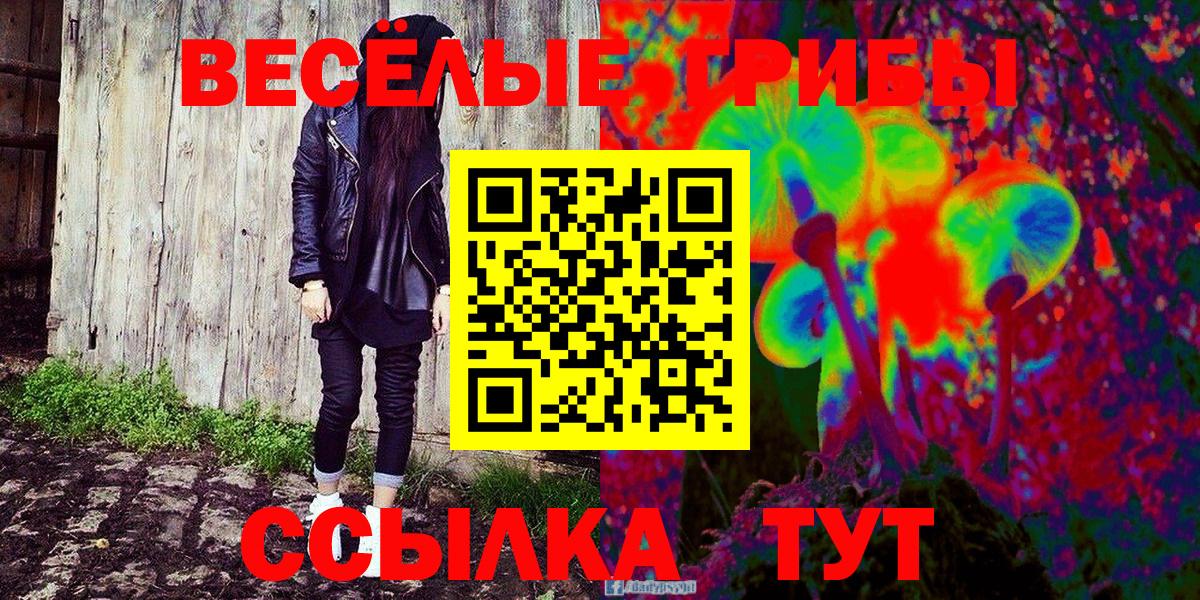 Вышний Волочёк  Псилоцибиновые грибы прущие грибы  Вход с VPN 