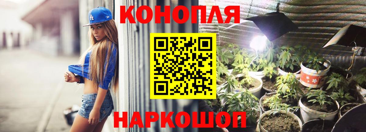 Конопля OG Kush Вышний Волочёк